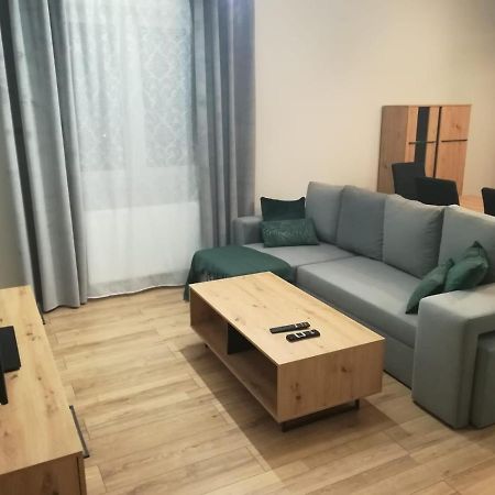 Homely Apartment Zielona Góra Extérieur photo