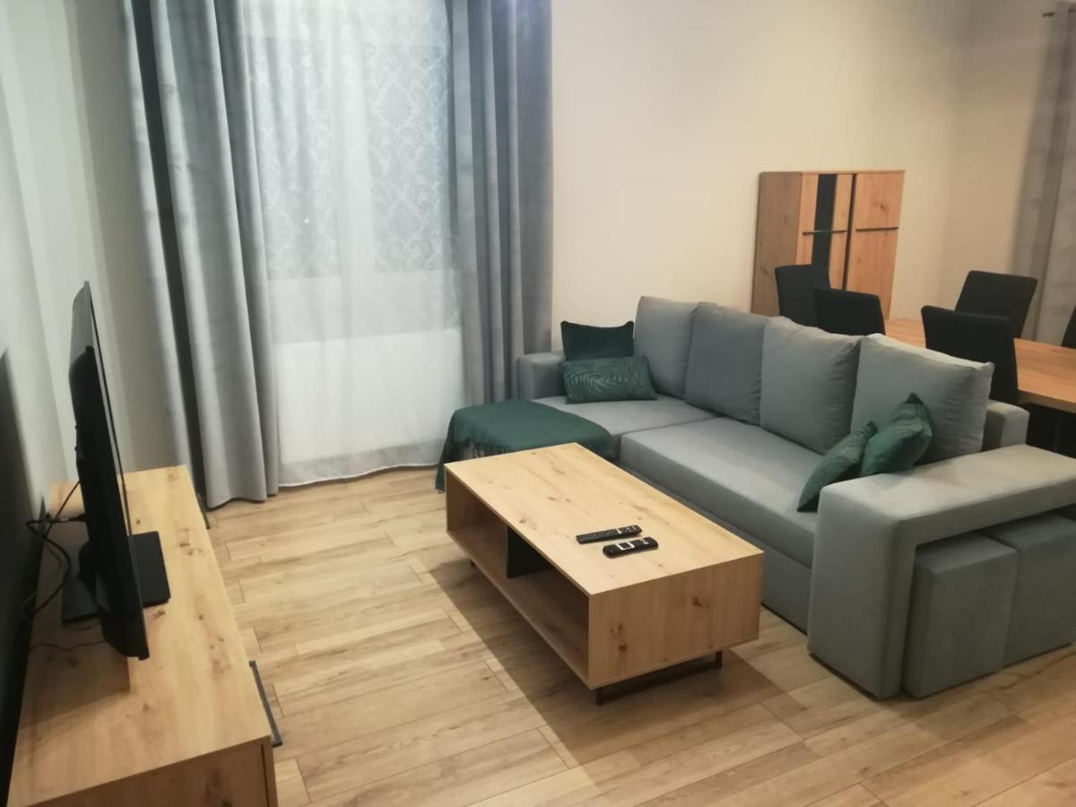 Homely Apartment Zielona Góra Extérieur photo